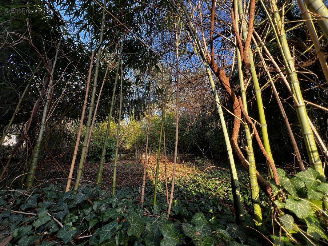 Maison à FRANCHEVILLE