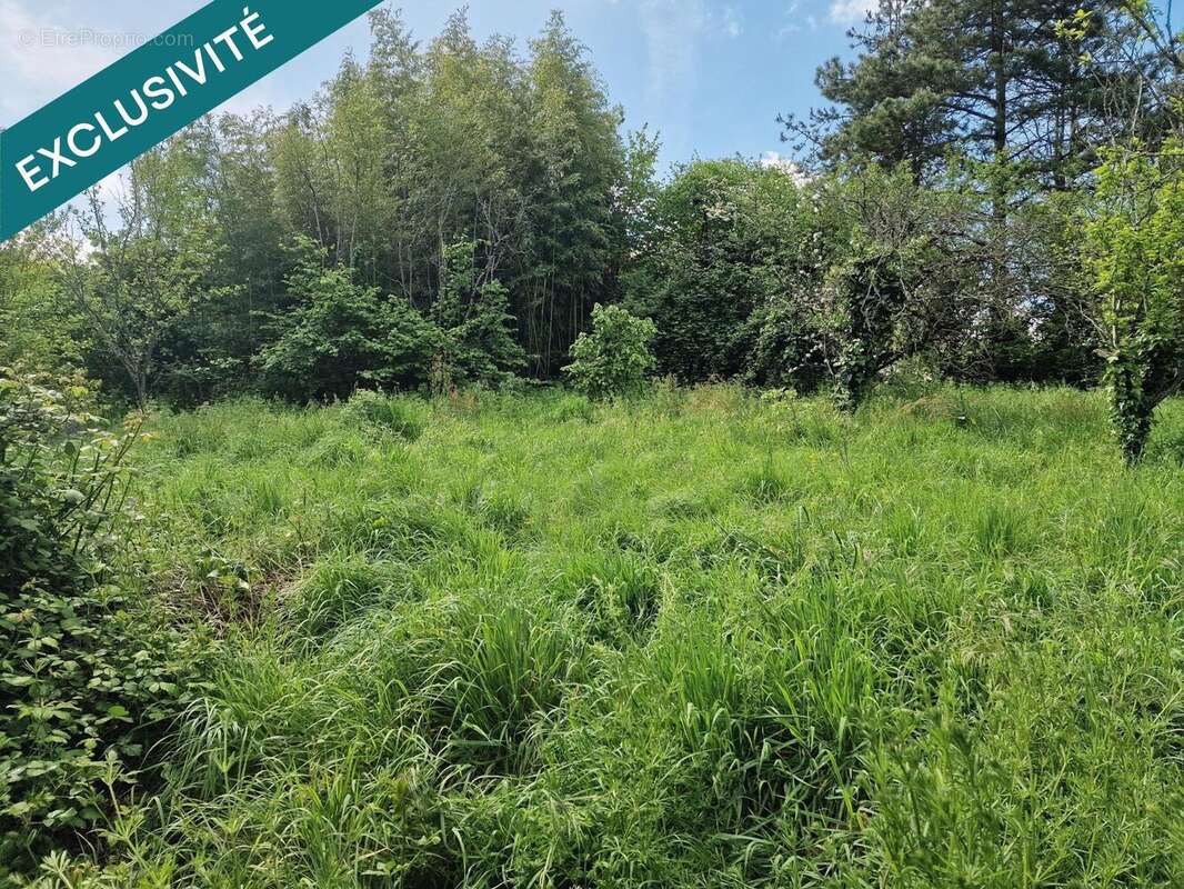 Photo 2 - Terrain à CURZON