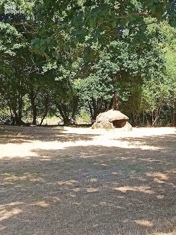 Terrain 4250 m² à Melle  - photo 6
