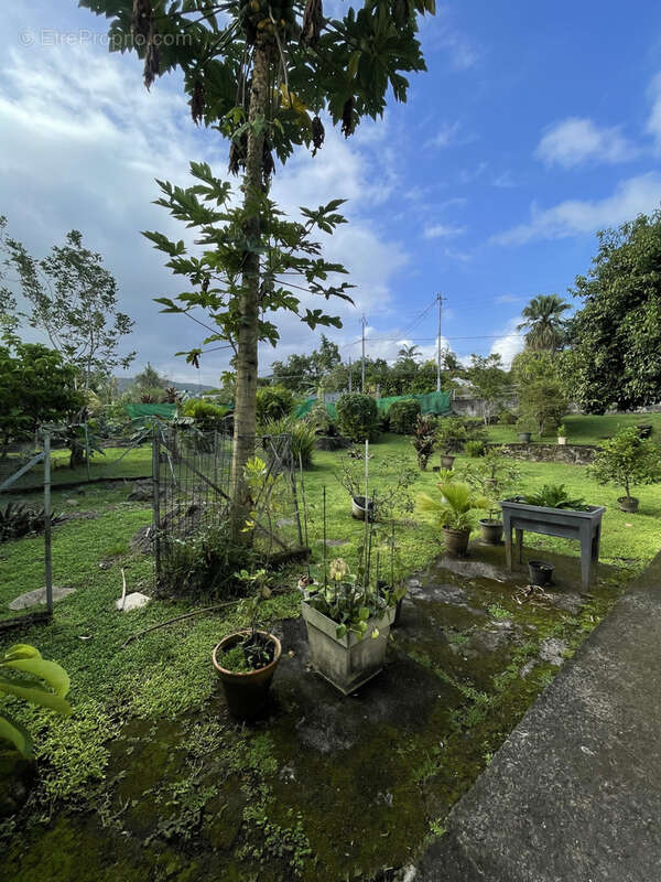 Maison à CAPESTERRE-BELLE-EAU