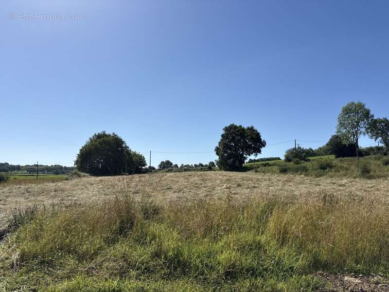 Terrain à ORTHEZ