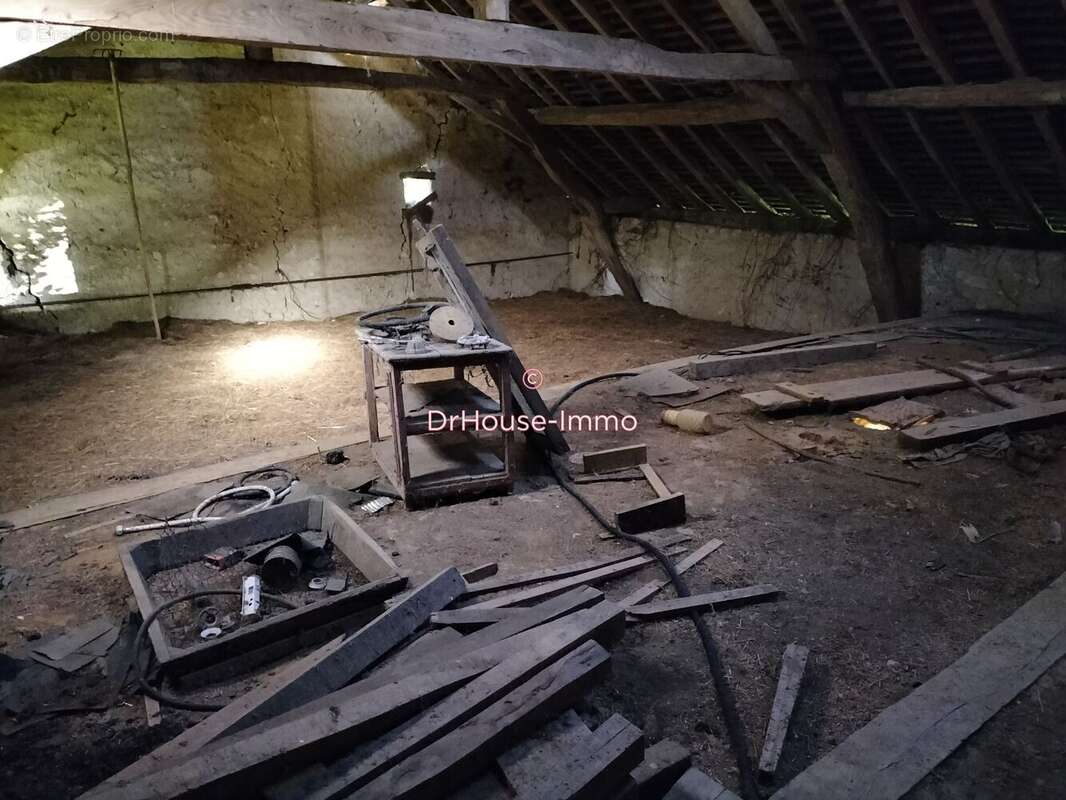 Maison 120 m² à Mayet  - photo 45