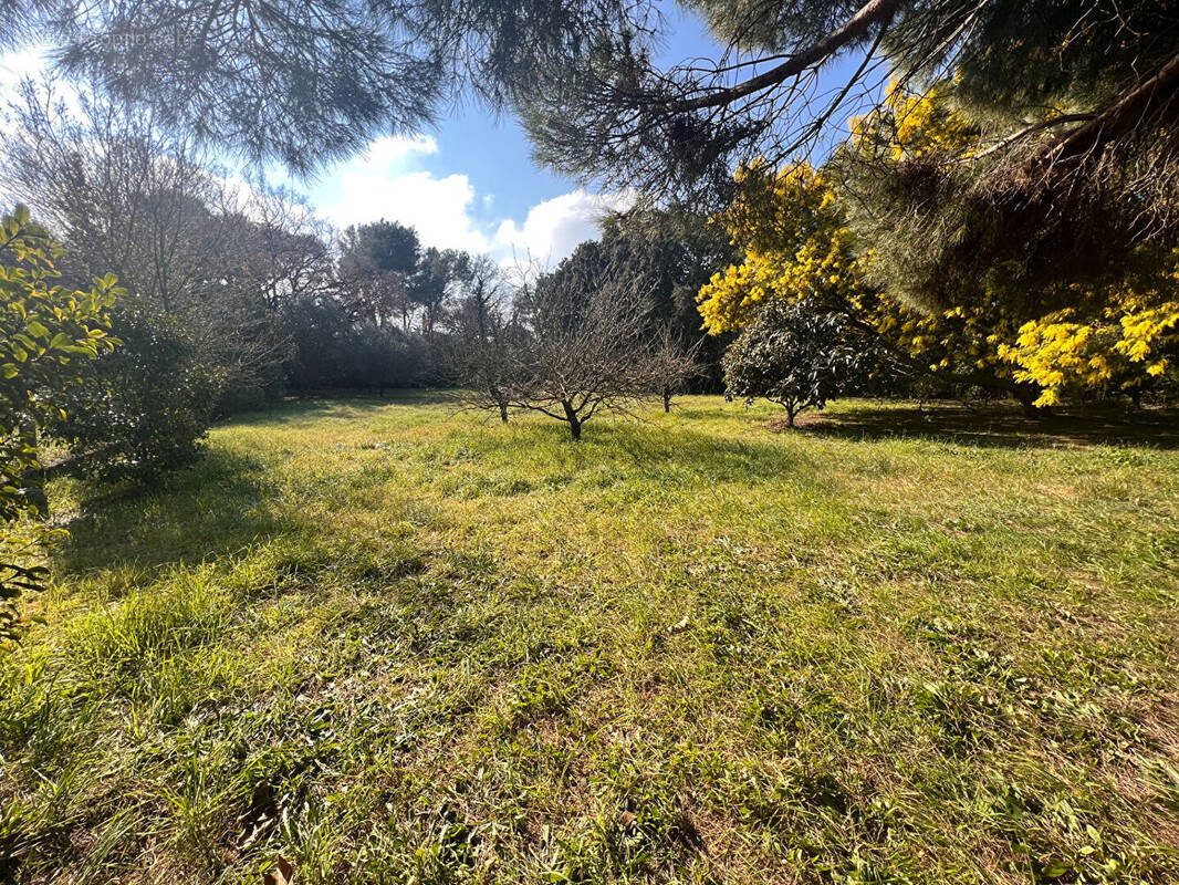 Maison à LA SEYNE-SUR-MER