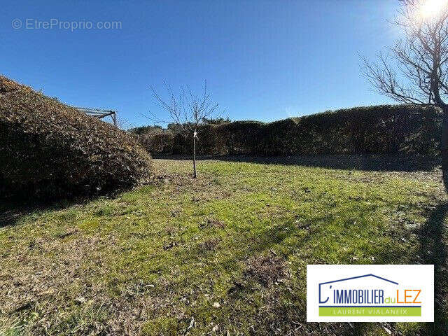 Terrain 804 m² à Montferrier-Sur-Lez  - photo 3