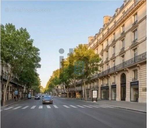 Commerce à PARIS-8E