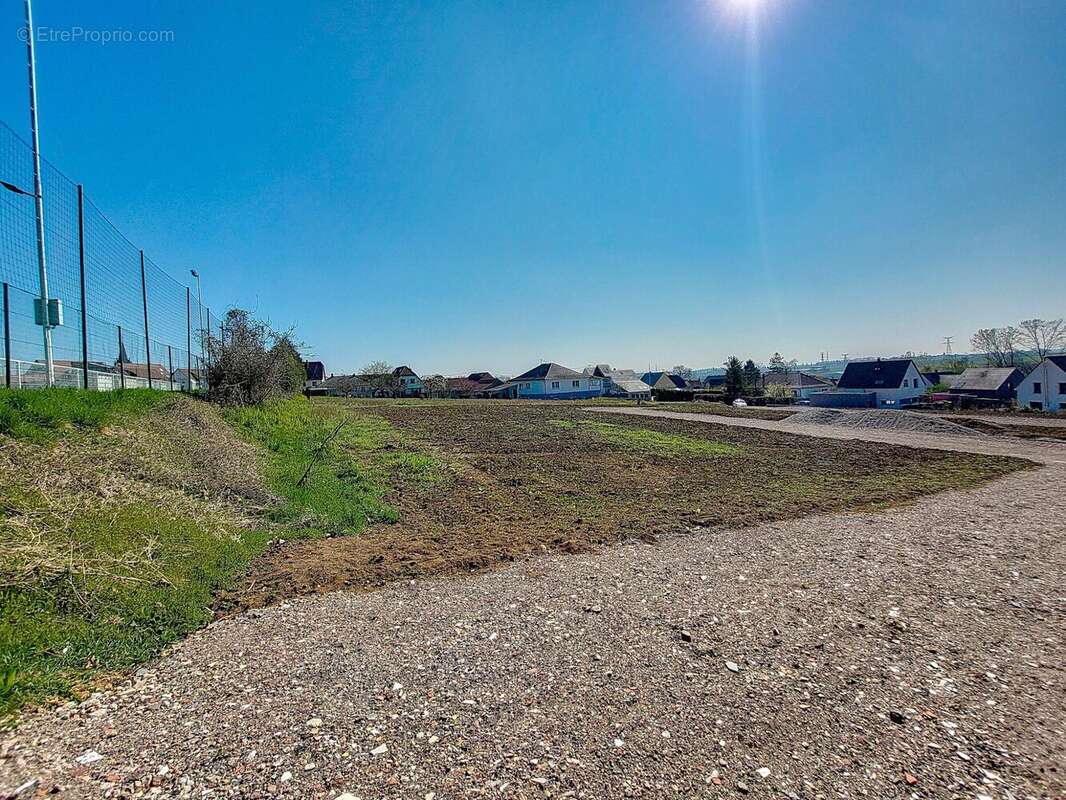 Terrain à SCHNERSHEIM