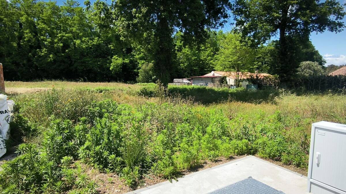 Terrain à LES MATHES