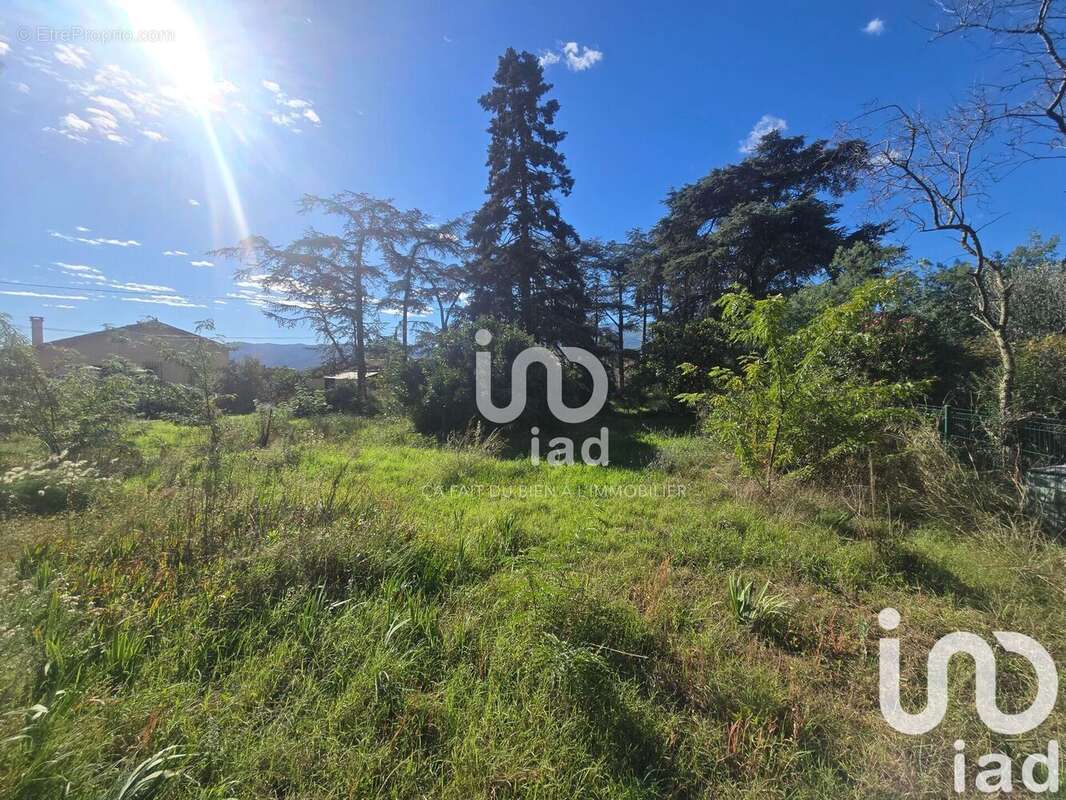 Photo 6 - Terrain à SAINT-JEAN-PLA-DE-CORTS