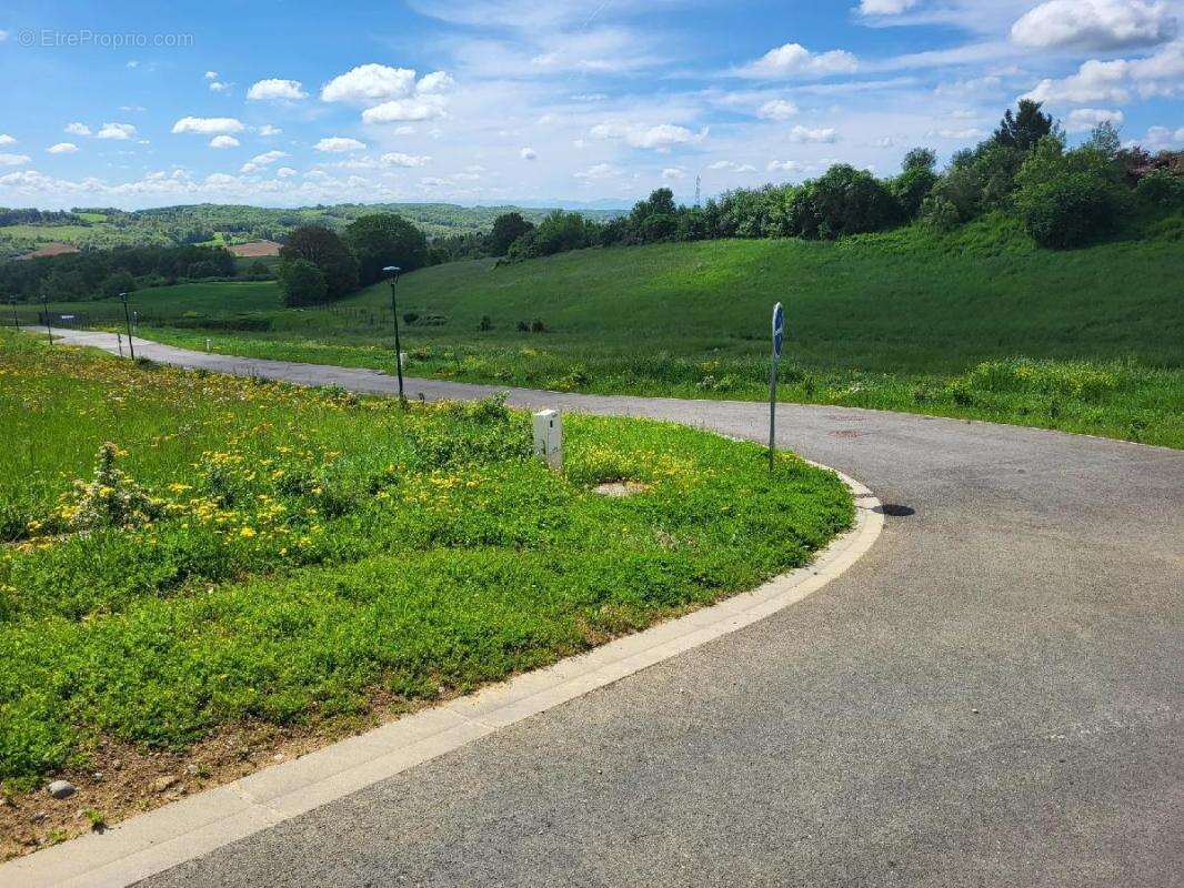 Terrain à LASSERAN