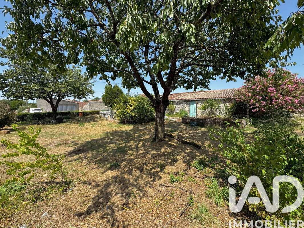 Photo 3 - Maison à FONTENAY-LE-COMTE