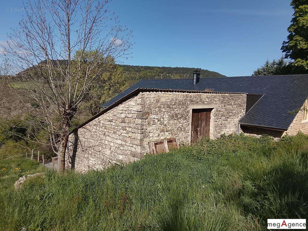 Maison en pierre + grange + 3 200 m² terrain – Cévennes - photo 13