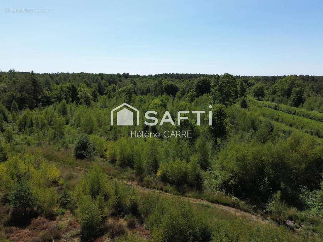 Photo 4 - Maison à PRESLY