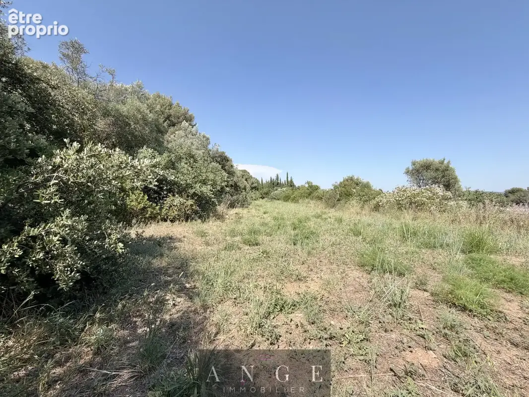 Propriété Agricole La Farlede - photo 15