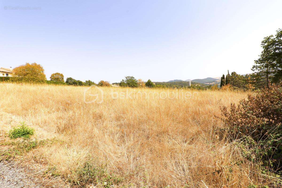 Terrain de 3 500 m² pour votre projet de rêve ! - photo 4