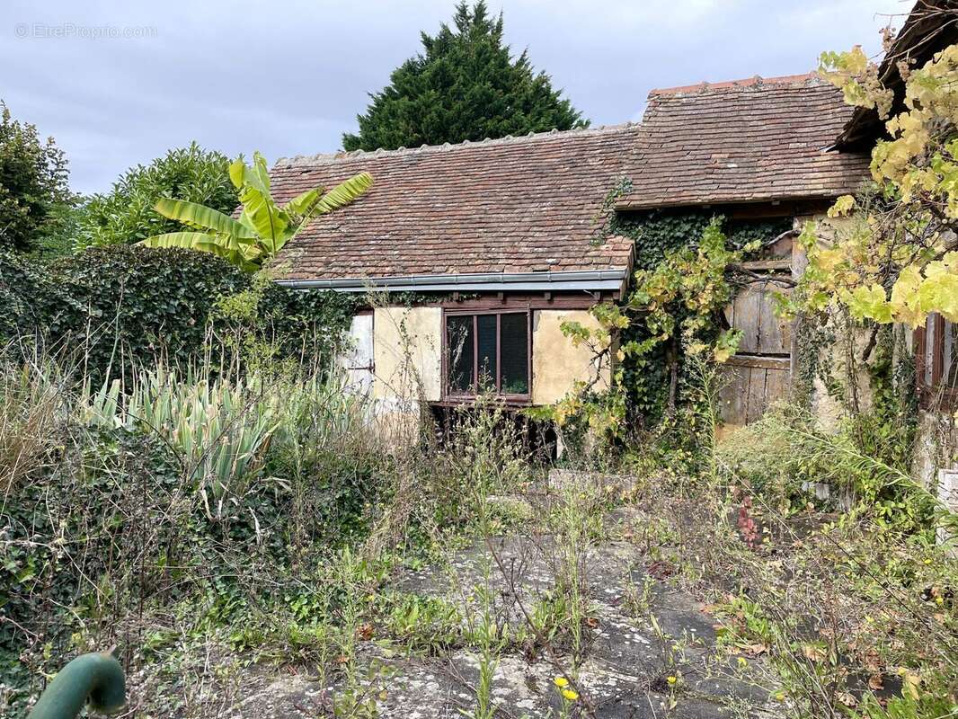 Jardin - Maison à SAINT-AIGNAN