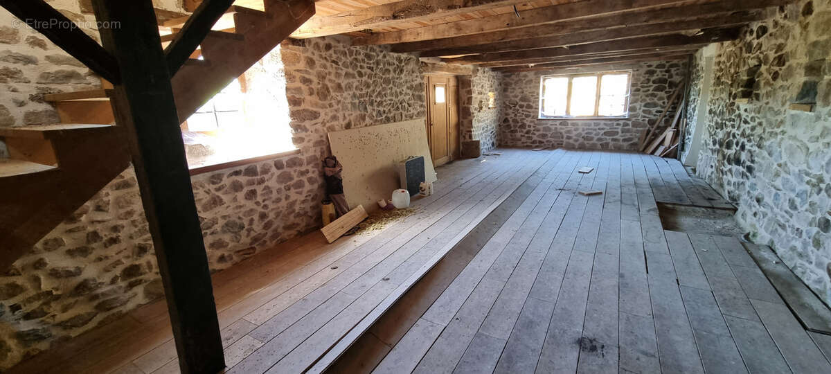 Nouveauté ! - photo 7