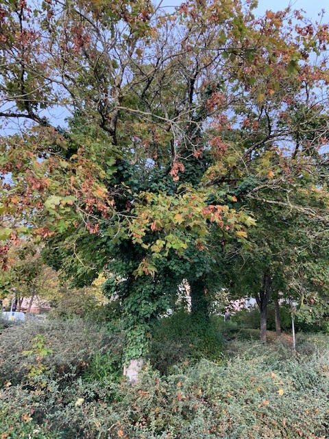 Appartement à QUETIGNY