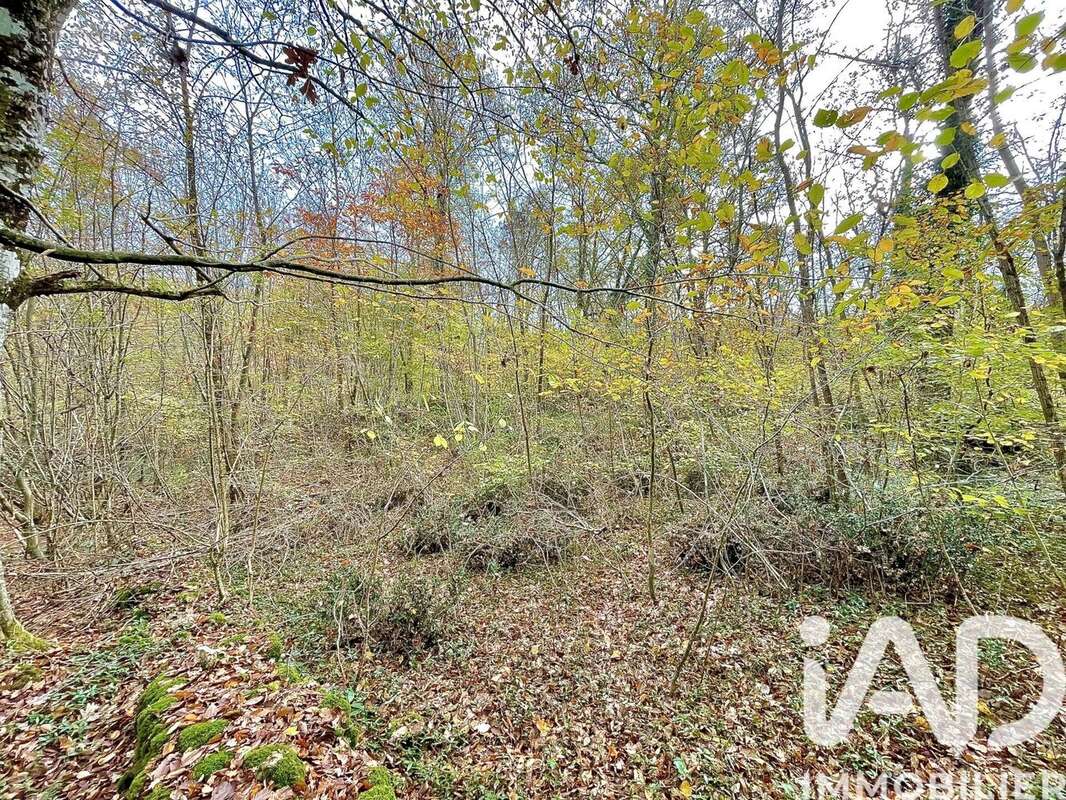 Photo 5 - Terrain à LE BLANC