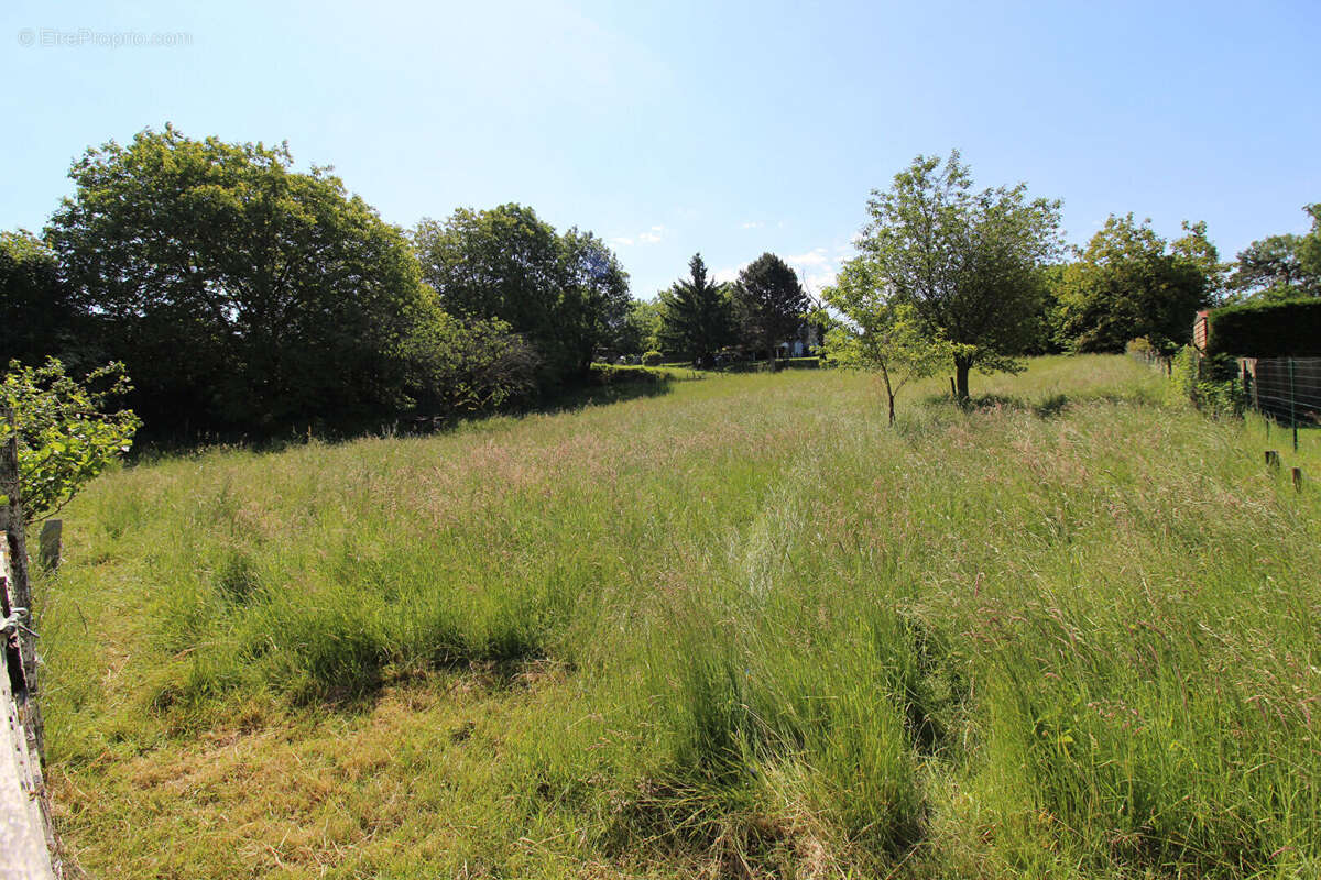 Terrain à SAINT-AMOUR