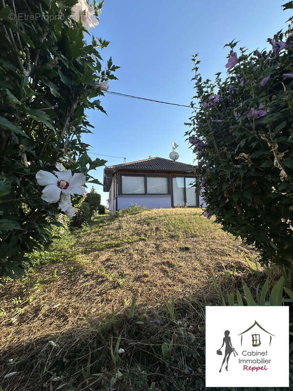 Maison 3 pièces 85 m² à vendre à Diebolsheim (67230) - photo 3