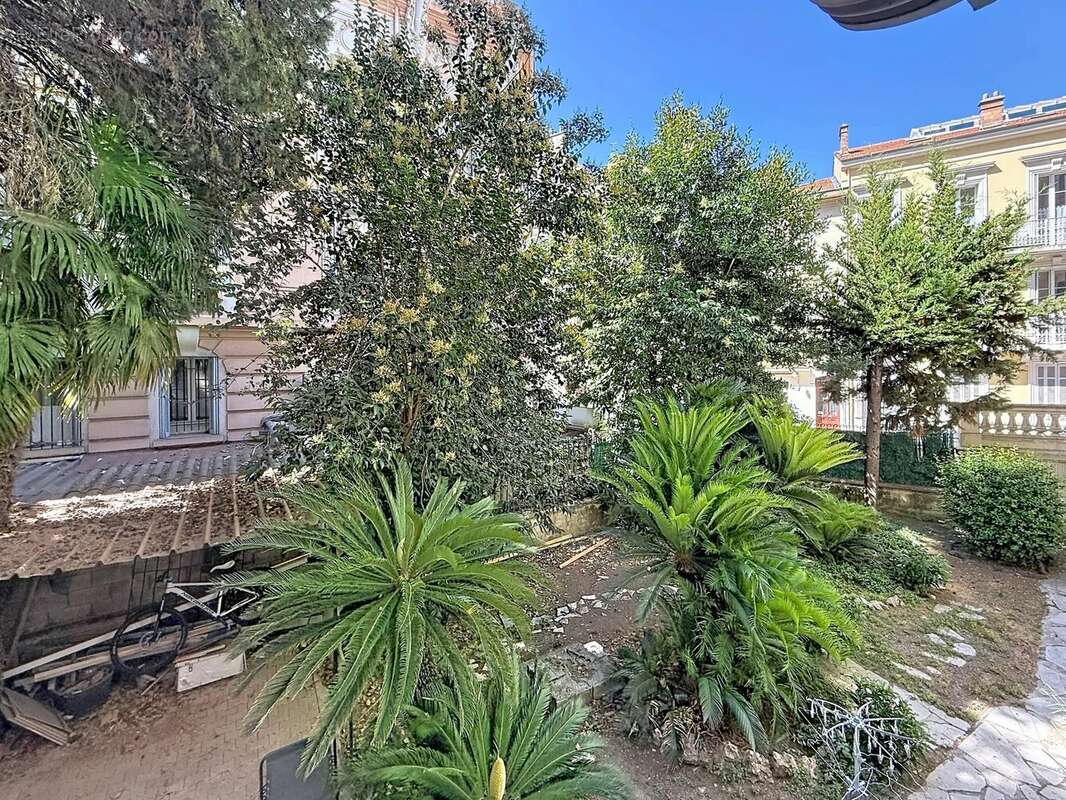 Cannes 300 m. palais : bourgeois a renover + jardin - photo 2