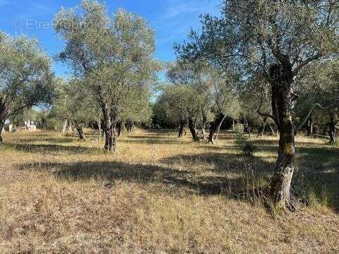 Terrain à VALBONNE