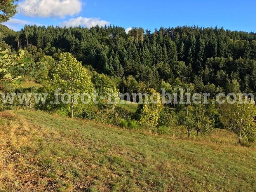 Terrain à LE CHEYLARD