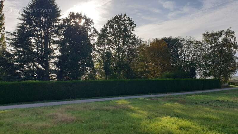 Terrain à VERNOU-LA-CELLE-SUR-SEINE