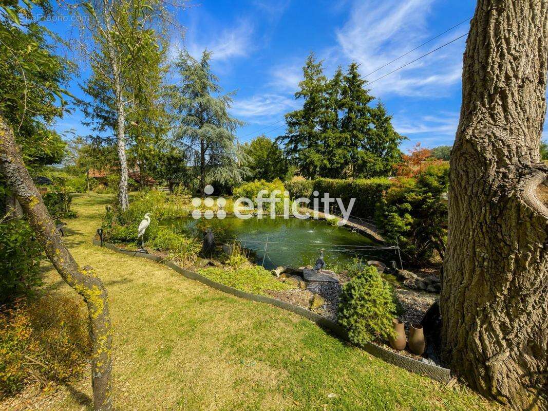 Maison en pierres - photo 21