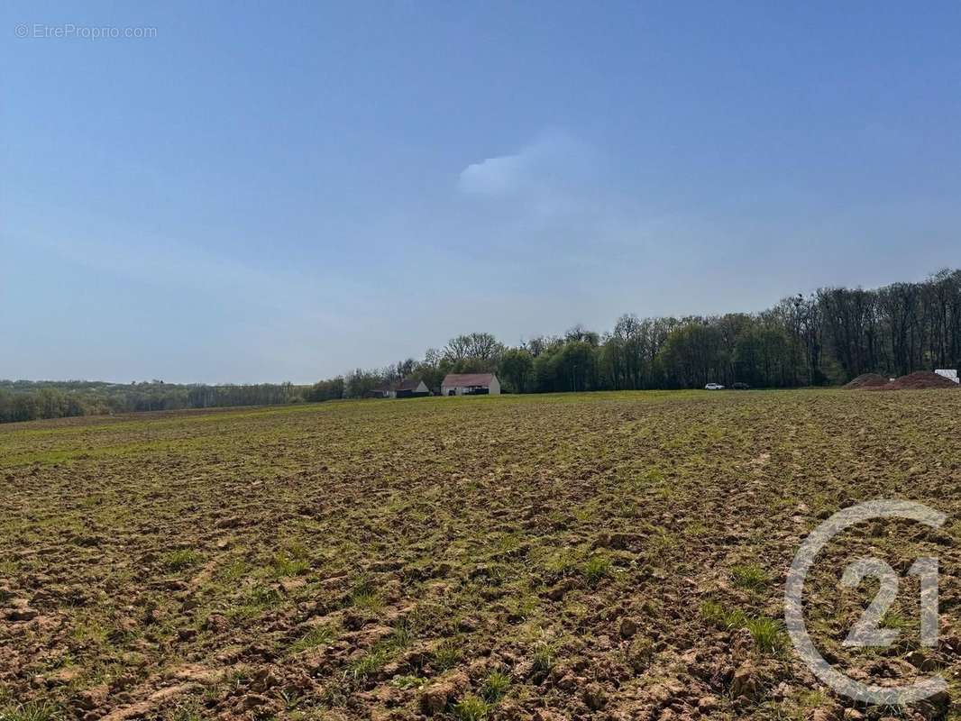 Terrain à VILLEROY
