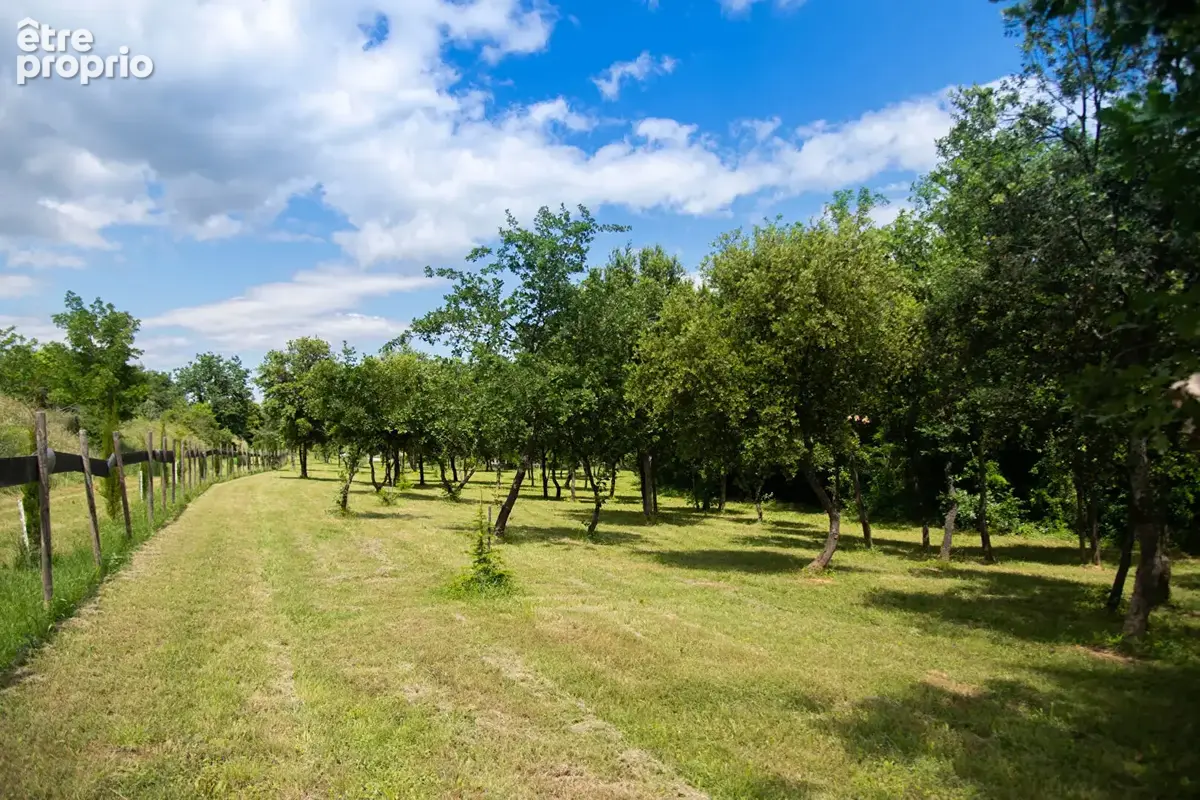 Domaine provençal dans la vallée de Cèze - photo 28
