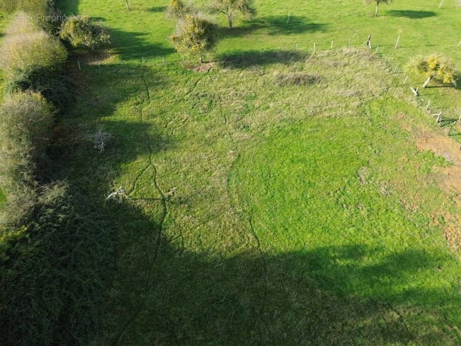 Terrain à SAINT-MARTIN-DE-LA-LIEUE