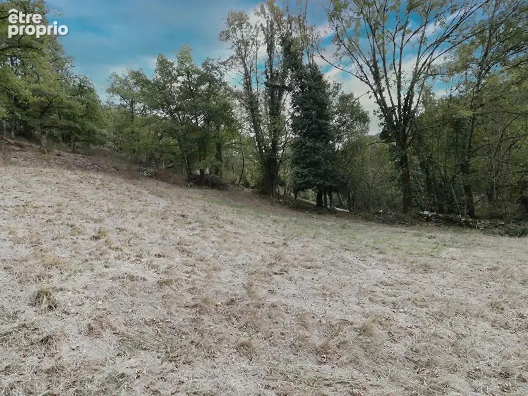 Lacaze - terrain agricole avec grange en pierre - photo 5