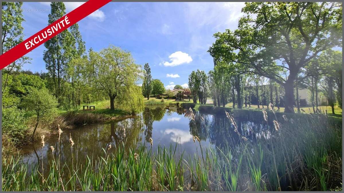 Cadre de nature avec un etang, salle de reception, dépendance - photo 3