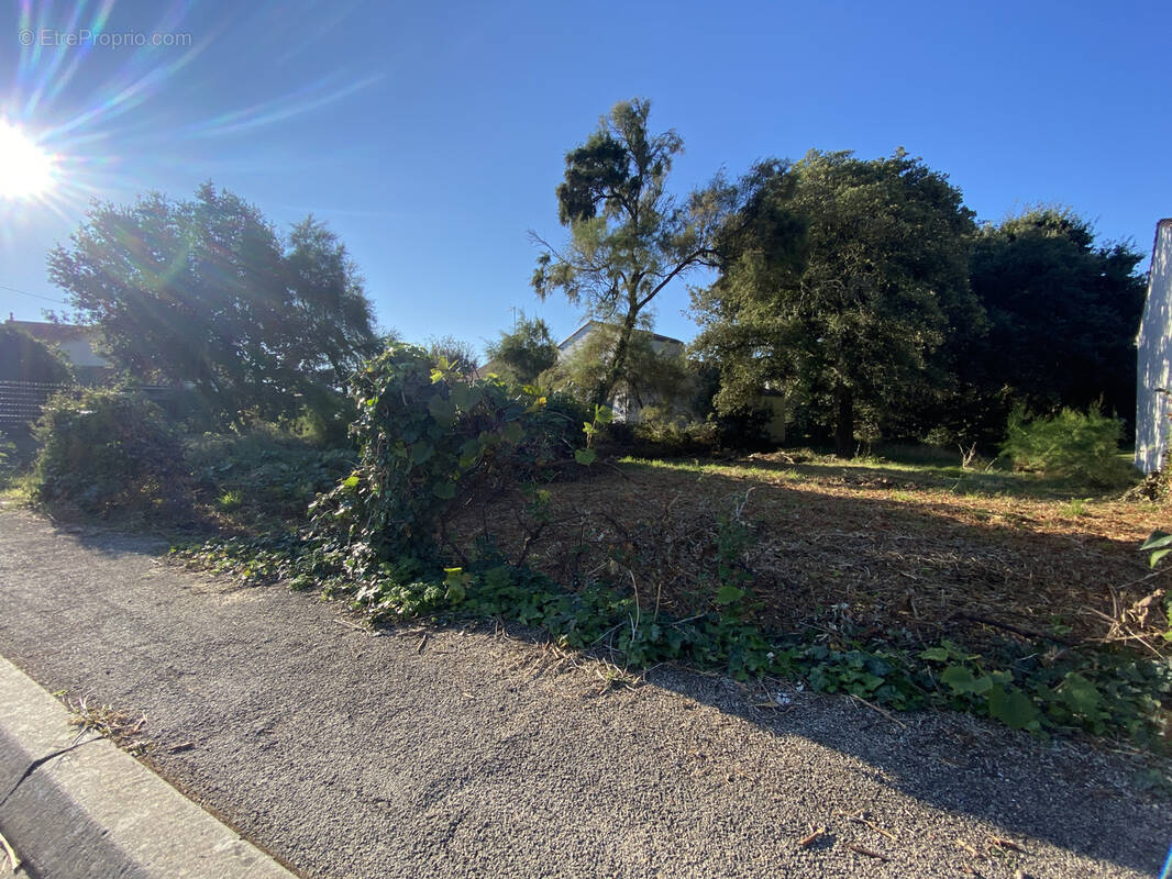 Terrain à JARD-SUR-MER