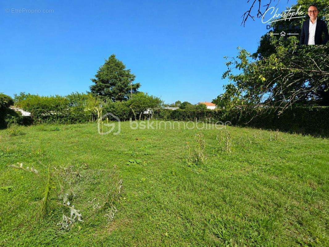  exclusivité – terrain constructible 600 m² – saint-martin-des-noyers  - photo 3