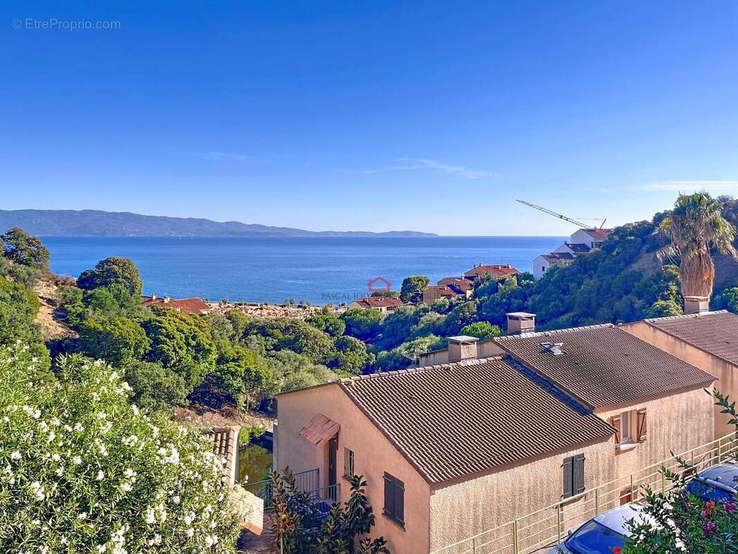 Photo 4 - Appartement à AJACCIO