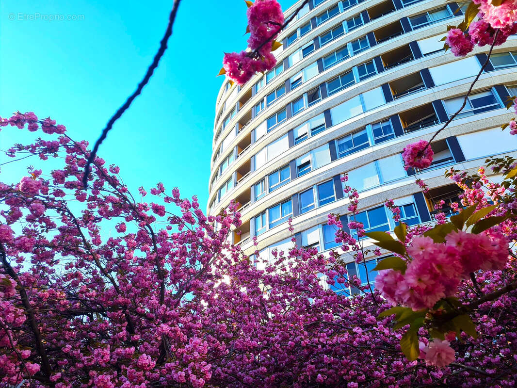 Appartement à PARIS-15E