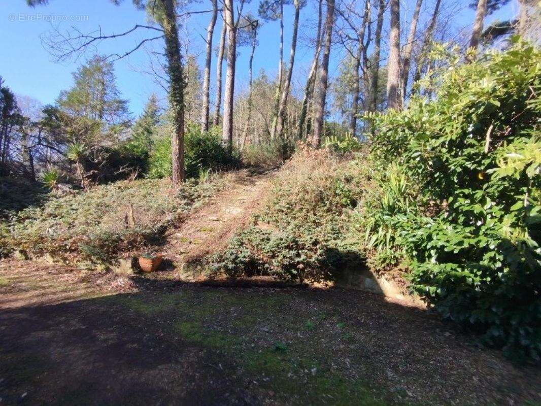 Maison familiale dans un cadre agréable - photo 9