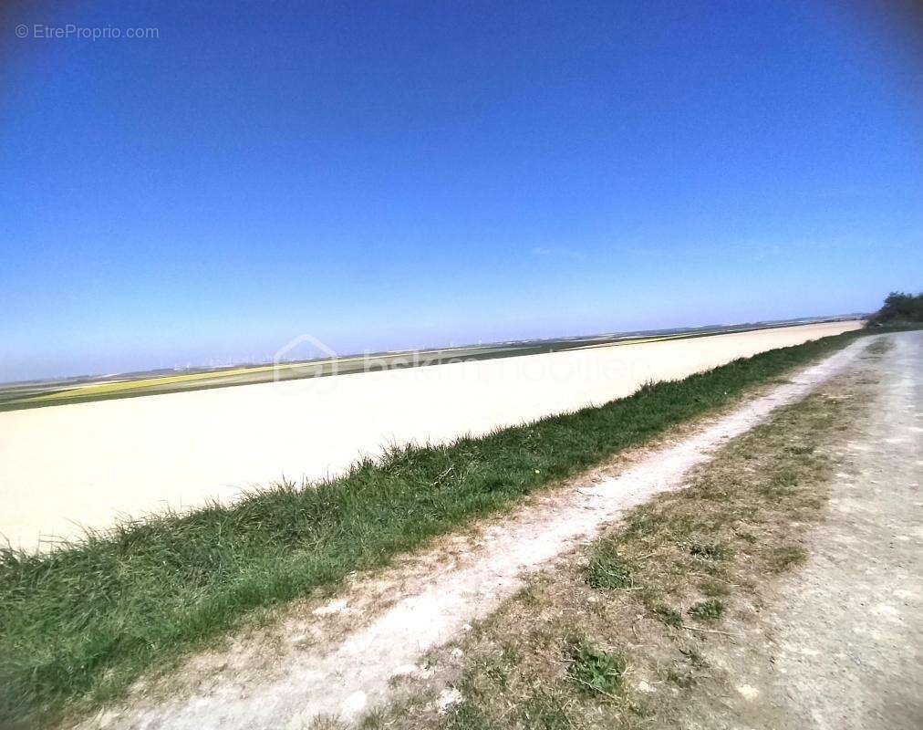 Charmante longère sur un terrain de 9900 m² - Un havre de paix à 30 minutes de Reims - photo 26