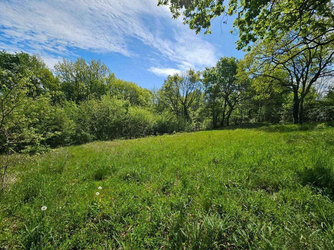 Terrain à BRIVE-LA-GAILLARDE