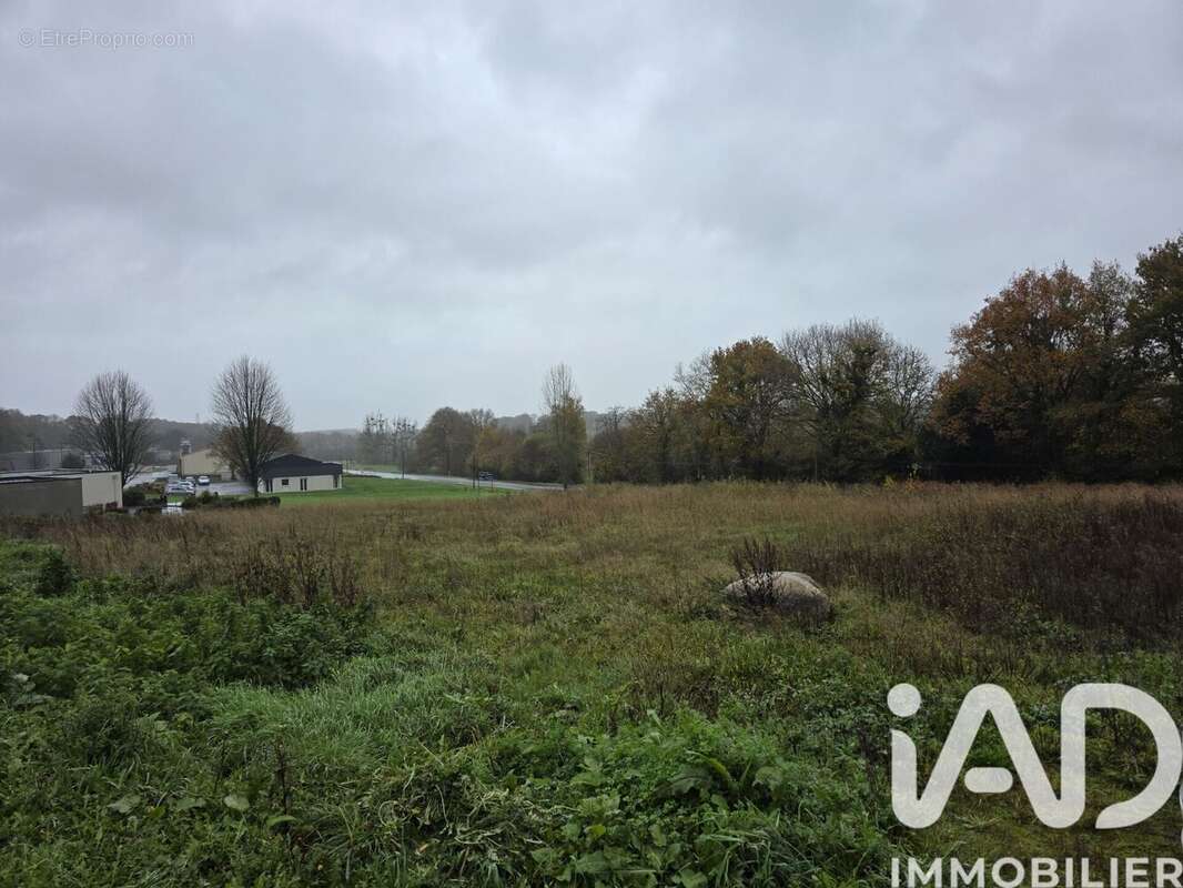 Photo 2 - Terrain à HENON
