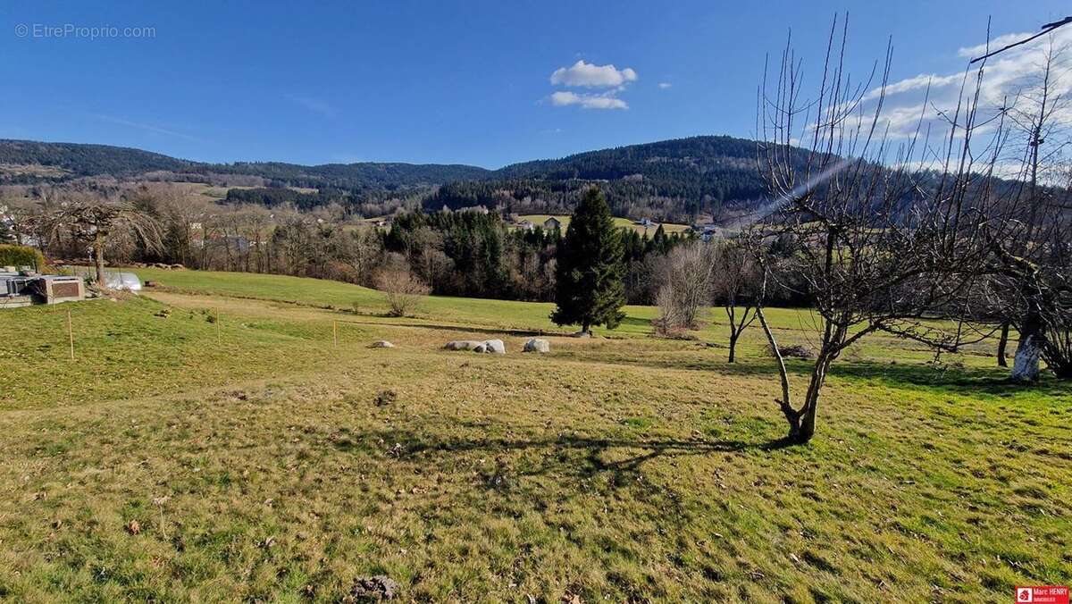 Terrain à CLEURIE