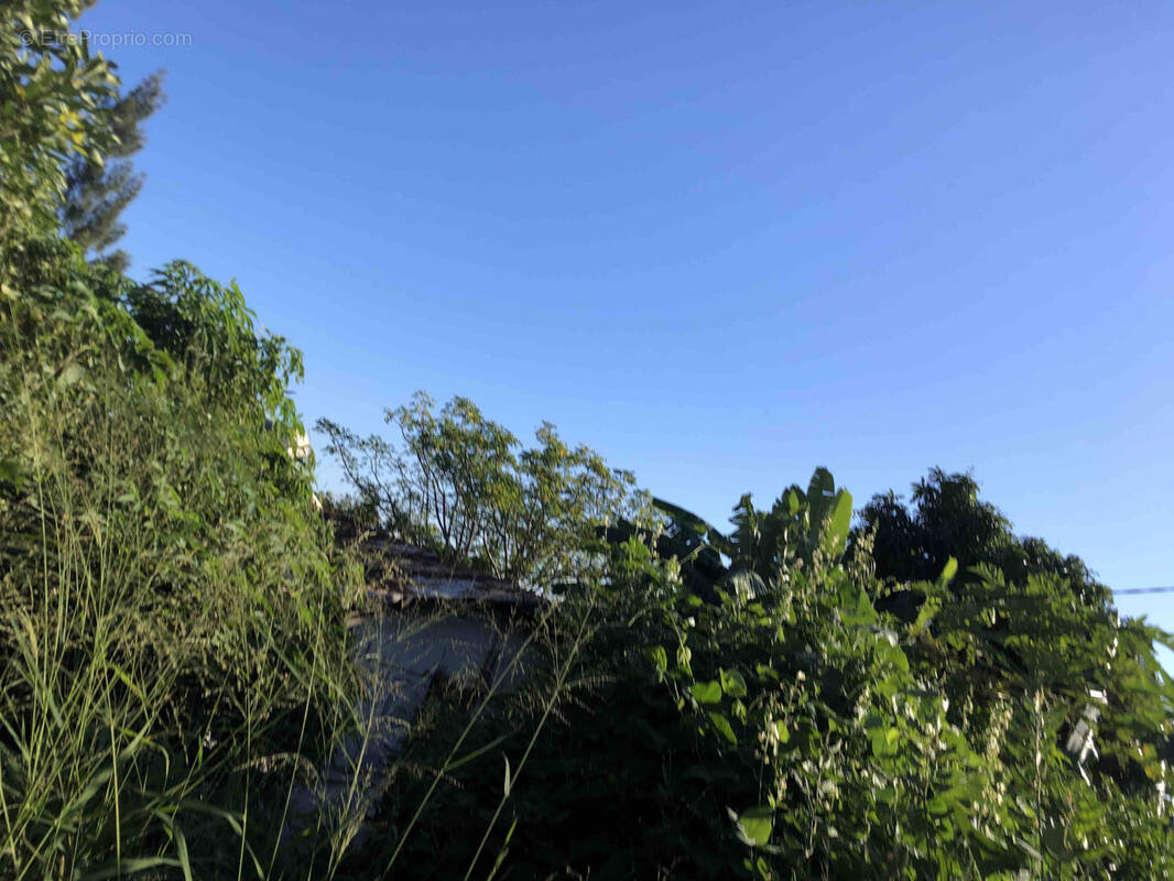 Terrain à SAINT-DENIS