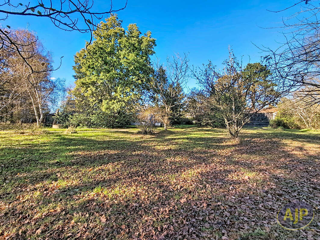 Maison à VIEILLEVIGNE