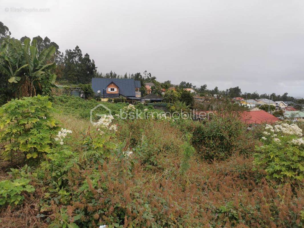 Terrain à LE TAMPON