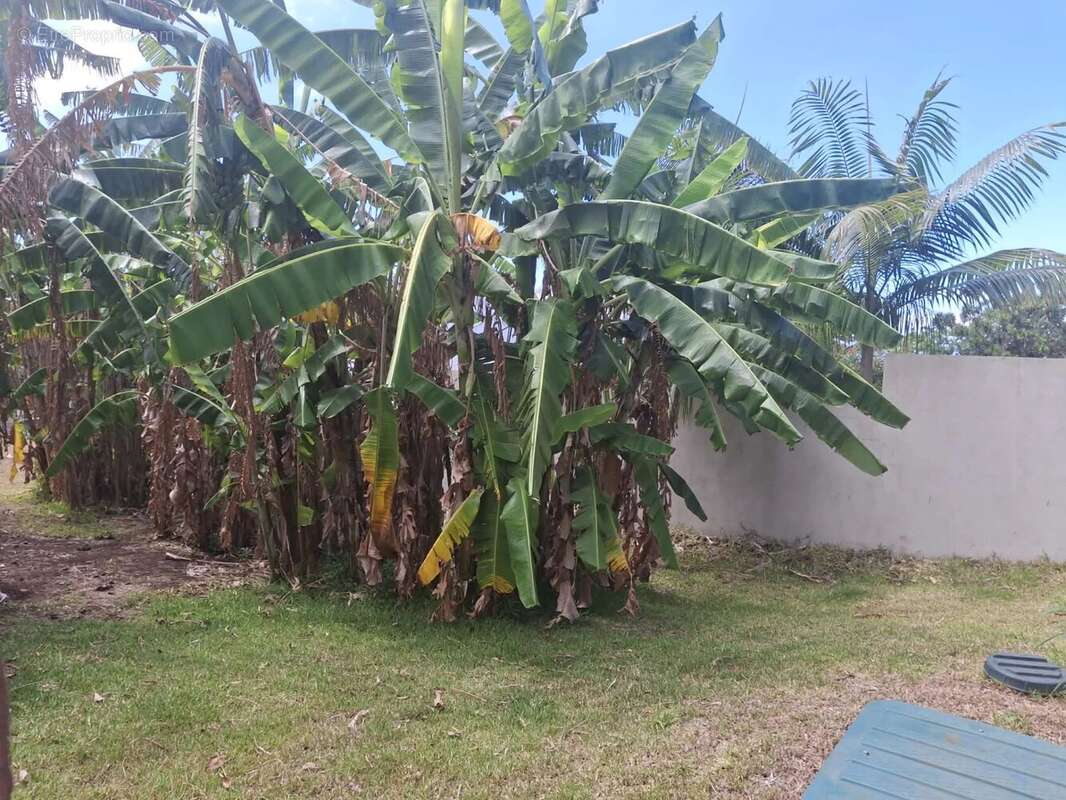 Maison à SAINT-PIERRE