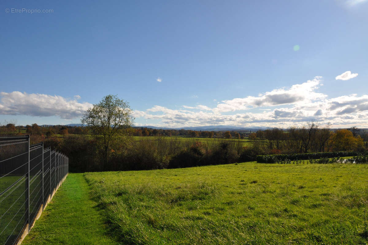 Terrain à LAPALISSE