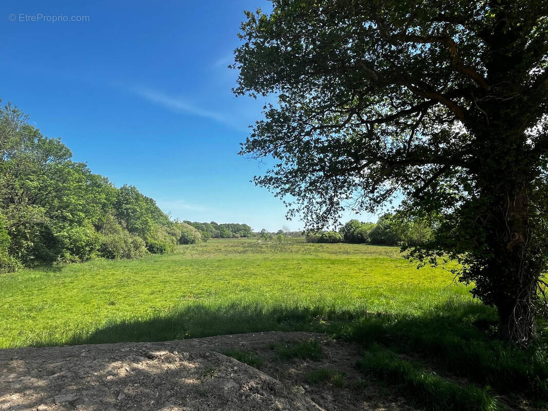 Terrain à VUE