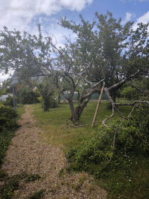 Maison à Pruillé — 4 chambres, grand jardin, à rénover - photo 10